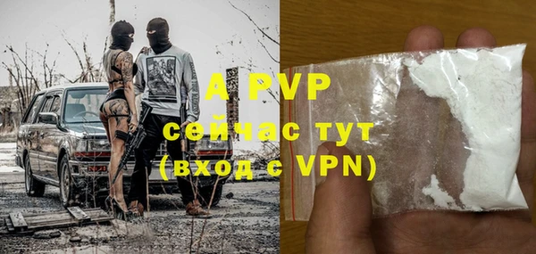 стафф Арсеньев