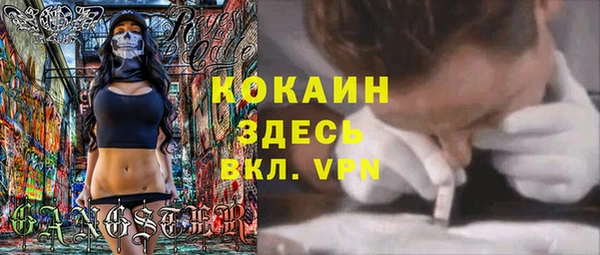 стафф Арсеньев