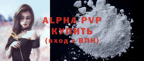 стафф Арсеньев